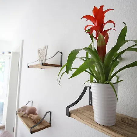 Апартаменты Gemuetliches Bei Koeln Фрехен