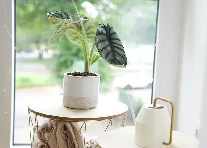 Gemuetliches Bei Koeln