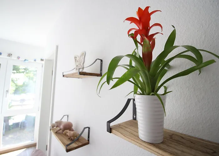 Апартаменты Gemuetliches Bei Koeln Фрехен