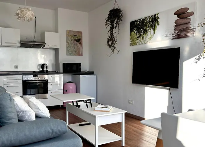 公寓 Gemuetliches Bei Koeln 弗雷兴